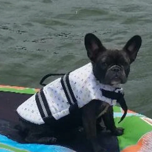 I’M LIVE! ❤️❤️PLEASE LIKE AND SHARE TO BE NOTIFIED WHEN I GO LIVE!!❤️❤️ - Picture 7 of 12